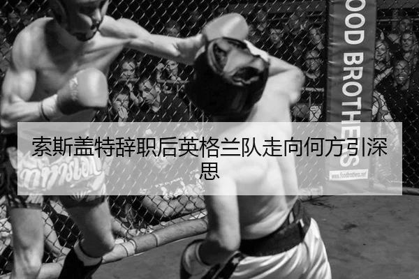 索斯盖特辞职后英格兰队走向何方引深思
